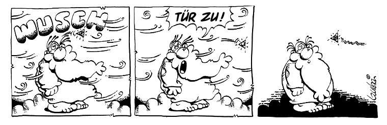 Tür zu Tür zu, es zieht